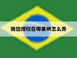 微信授权在哪里啊怎么弄