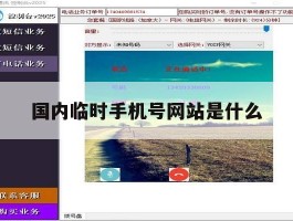 国内临时手机号网站是什么