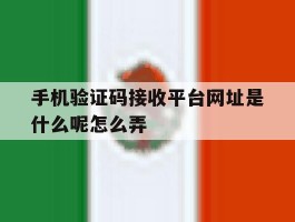 手机验证码接收平台网址是什么呢怎么弄