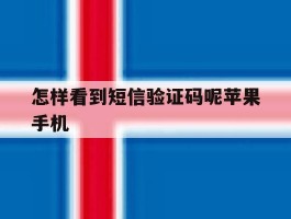 怎样看到短信验证码呢苹果手机
