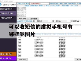 可以收短信的虚拟手机号有哪些呢图片