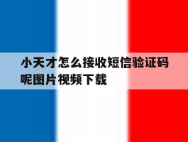 小天才怎么接收短信验证码呢图片视频下载