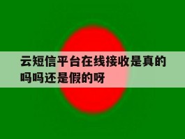 关于云短信平台在线接收是真的吗吗还是假的呀的信息