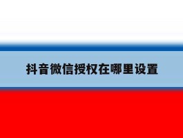 抖音微信授权在哪里设置