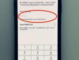 关于虚拟手机号接收短信验证码怎么弄的出来呢苹果的信息