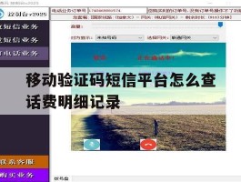 移动验证码短信平台怎么查话费明细记录
