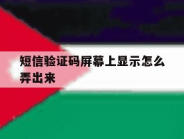 短信验证码屏幕上显示怎么弄出来