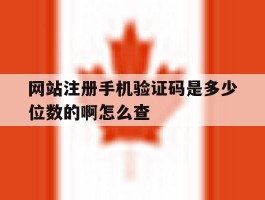 网站注册手机验证码是多少位数的啊怎么查