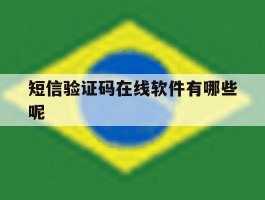 短信验证码在线软件有哪些呢