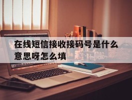 在线短信接收接码号是什么意思呀怎么填