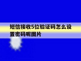 短信接收5位验证码怎么设置密码呢图片