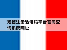 包含短信注册验证码平台官网查询系统网址的词条