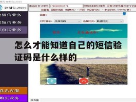 怎么才能知道自己的短信验证码是什么样的