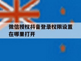 微信授权抖音登录权限设置在哪里打开