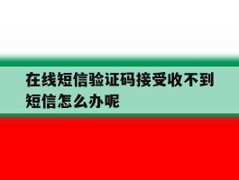 在线短信验证码接受收不到短信怎么办呢