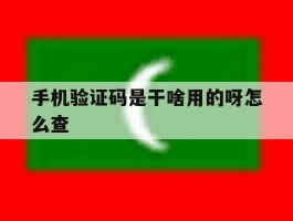 手机验证码是干啥用的呀怎么查
