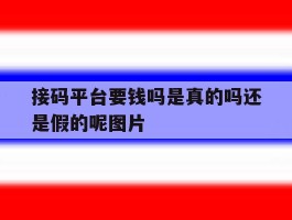 接码平台要钱吗是真的吗还是假的呢图片