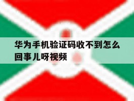 华为手机验证码收不到怎么回事儿呀视频
