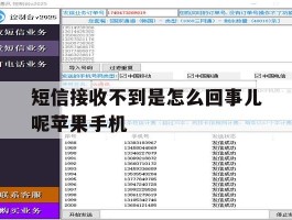 短信接收不到是怎么回事儿呢苹果手机