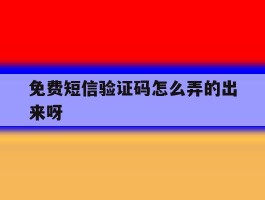 免费短信验证码怎么弄的出来呀