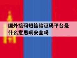国外接码短信验证码平台是什么意思啊安全吗的简单介绍