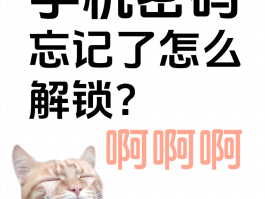 忘记了短信验证码该怎么办呢苹果手机
