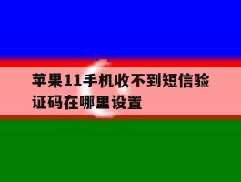 苹果11手机收不到短信验证码在哪里设置