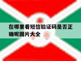 在哪里看短信验证码是否正确呢图片大全