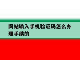网站输入手机验证码怎么办理手续的
