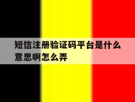 短信注册验证码平台是什么意思啊怎么弄