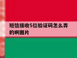短信接收5位验证码怎么弄的啊图片