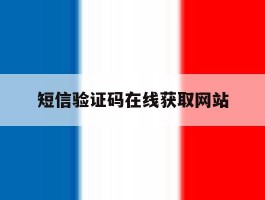 短信验证码在线获取网站