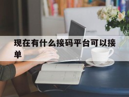 现在有什么接码平台可以接单