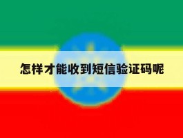 怎样才能收到短信验证码呢