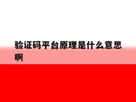 包含验证码平台原理是什么意思啊的词条