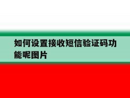 如何设置接收短信验证码功能呢图片