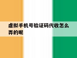 虚拟手机号验证码代收怎么弄的呢