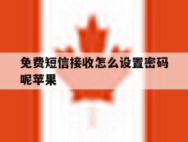 免费短信接收怎么设置密码呢苹果