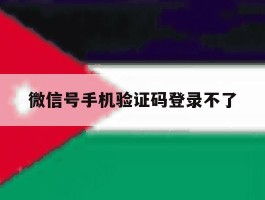微信号手机验证码登录不了