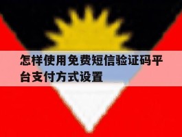 怎样使用免费短信验证码平台支付方式设置