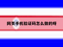 网页手机验证码怎么做的呀