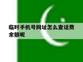 包含临时手机号网址怎么查话费余额呢的词条