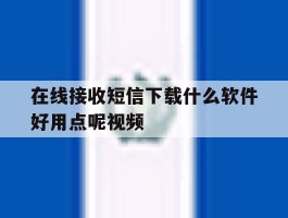 在线接收短信下载什么软件好用点呢视频