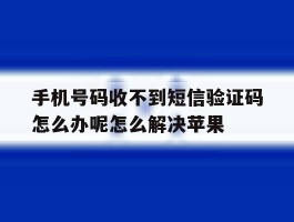 手机号码收不到短信验证码怎么办呢怎么解决苹果的简单介绍