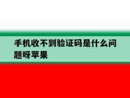 手机收不到验证码是什么问题呀苹果