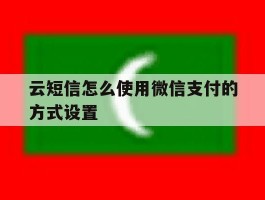 云短信怎么使用微信支付的方式设置