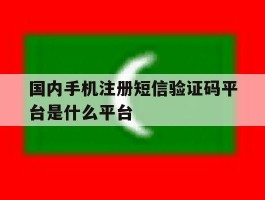 国内手机注册短信验证码平台是什么平台
