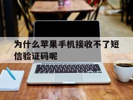 为什么苹果手机接收不了短信验证码呢