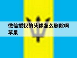 微信授权的头像怎么删除啊苹果
