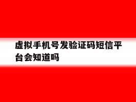 包含虚拟手机号发验证码短信平台会知道吗的词条